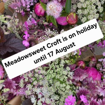 Craft your own mini wreath
